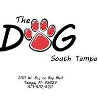 The Dog Saloon - South Tampa